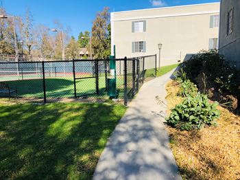 Dog park